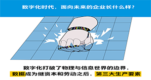 调研了1000家正在数字化转型的企业，我们发现……（插画特别版）